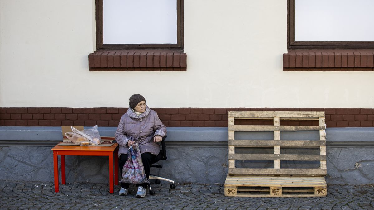 Без підтримки 84 відсотки біженців у Чехії страждали б від бідності
